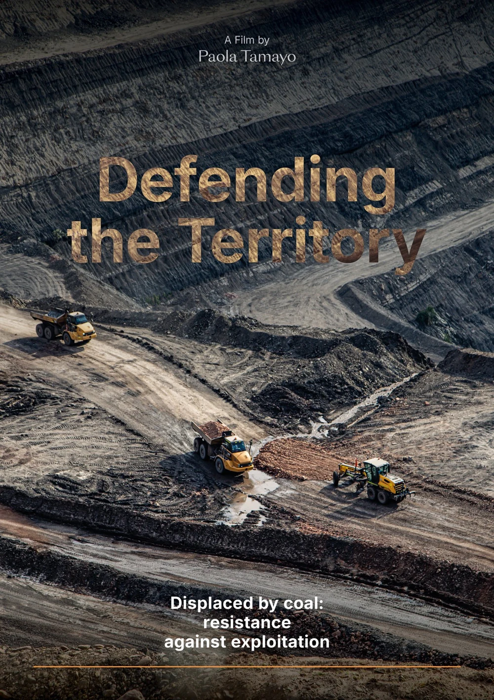 Afiche de Defendiendo el territorio