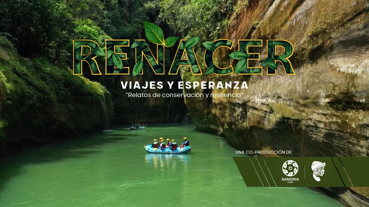 Afiche de Renacer viaje y esperanza